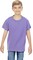 Comfort Colors® Garment Dyed Youth Heavyweight Crewneck Short Sleeve T-Shirt